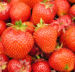 Zurück zum kompletten Bilderset Garten-Erdbeere Frucht rot Fragaria x ananassa