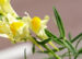 Zurück zum kompletten Bilderset Gewöhnliches Leinkraut Kraut Blüte gelb orange Linaria vulgaris