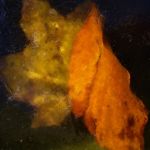Laub Blaetter 03